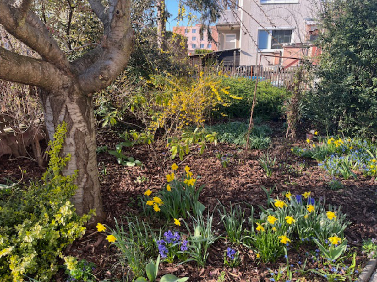 Detailní úprava záhonů