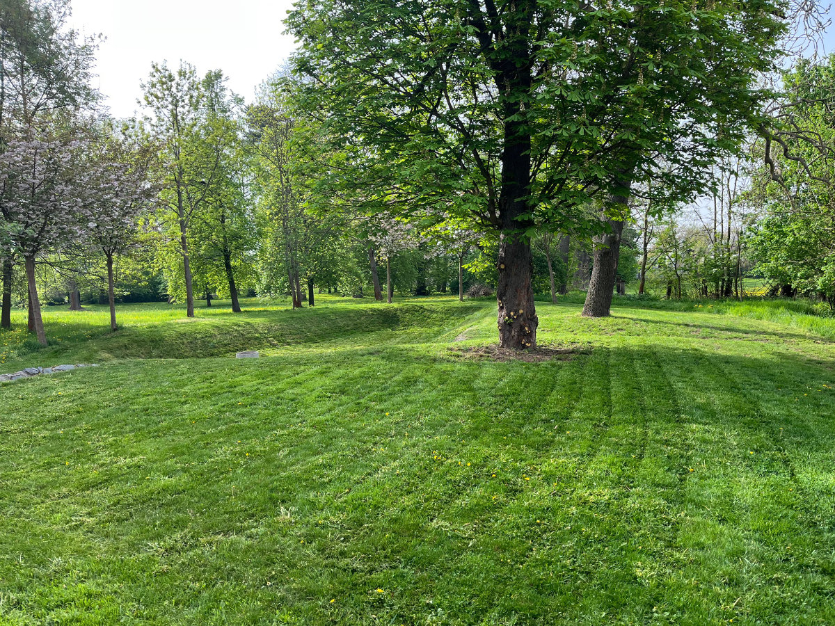 Údržba trávníků