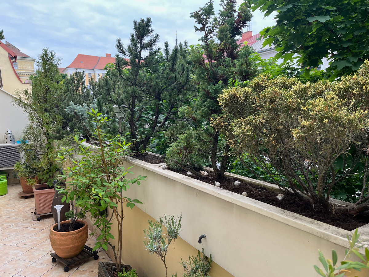 Detailní úprava záhonů